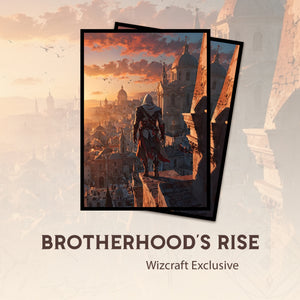 Brotherhood's Rise