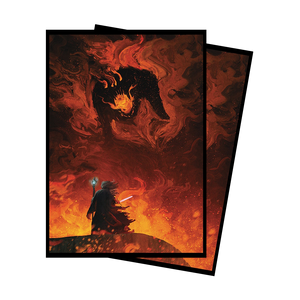 The Shadow and The Flame