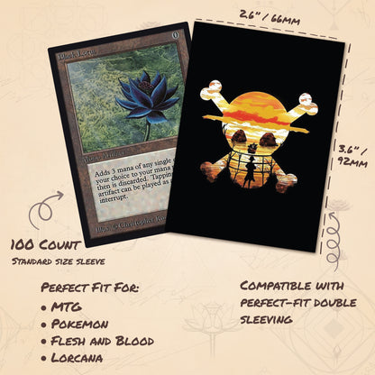 Jolly Roger Adventure