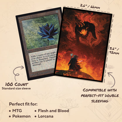 The Shadow and The Flame